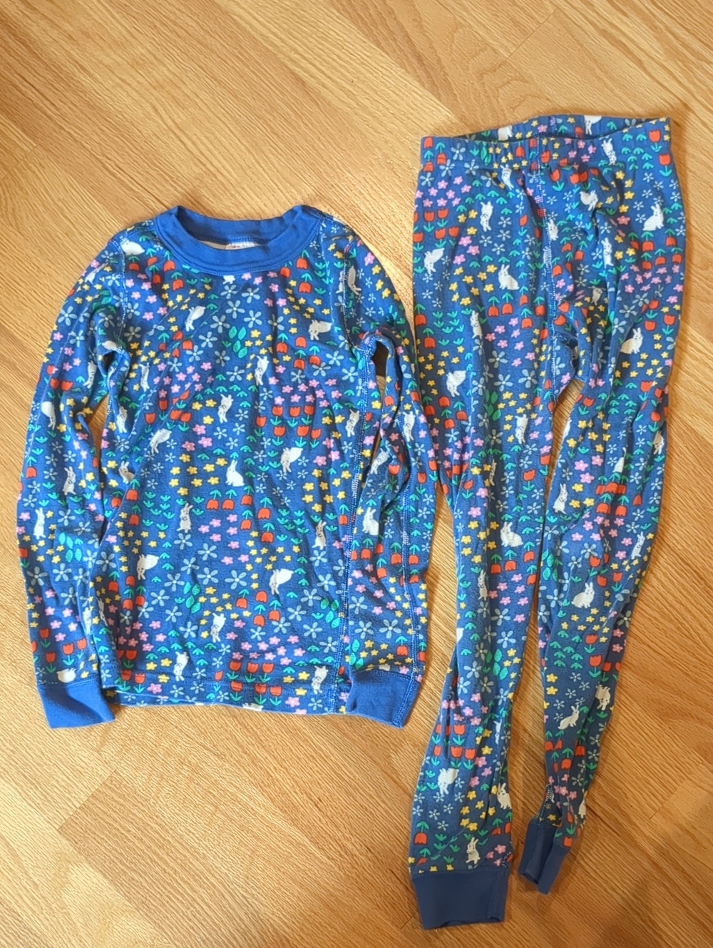 Hanna Andersson Blue Floral & Bunny Print Kids Pajama Set